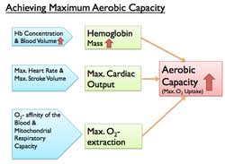Image result for Blood Doping