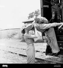 Travis taylor hi-res stock photography and images