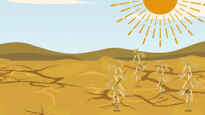 But for some plants and animals, adapting to these changes involves the most ancient solution of all: Ways Plant Science Tackles Climate Change In 5 Gifs Croplife International