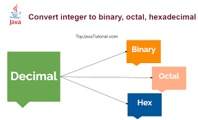 Java Program Converting Integer To Binary Octal And Hexadecimal Top Java Tutorial