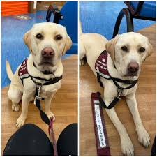 This month in training: April 2022