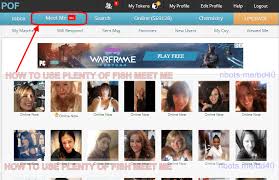 Slated somewhere between mainstream dating site and hookup venue, pof is ideal for those wanting to dip their toes into the dating pool without getting tied down to monthly payments. How To Use Plenty Of Fish Meet Me Scrapers N Bots Blog