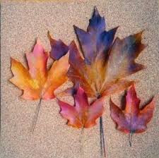 Maybe you would like to learn more about one of these? Glycerin Preserved Leaves Nature Crafts How To Preserve Flowers Leaf Art