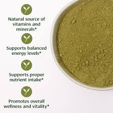 Image result for Moringa