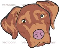 Explore the 39+ collection of chocolate lab clipart images at getdrawings. Chocolate Labrador Cartoon Dog Animals Buy Clip Art Buy Illustrations Vector Royalty Free