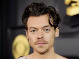 Harry Styles stops live show so pregnant woman can go to the toilet and not  miss set