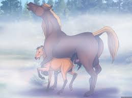 Spirit Stallion Of The Cimarron hentai videos, GIFs, and images | R34.app