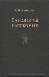 Image result for Sphaeranthus gazaensis