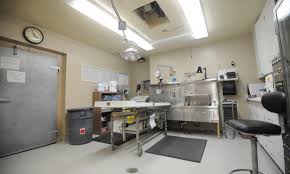 Joan of DARC Sheathes Her Sword