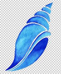 Check spelling or type a new query. Drawing Watercolor Painting Png Clipart Aqua Cartoon Computer Network Conch Conch Shell Free Png Download
