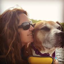 Coyote sightings in Foxboro, Massachusetts, near railroad tracks