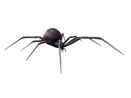 This black widow spider is made of blown glass and looks 99% like in the nature. 475 Best Mactans Images Stock Photos Vectors Adobe Stock
