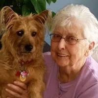 Carol Rounds Obituary (2024)