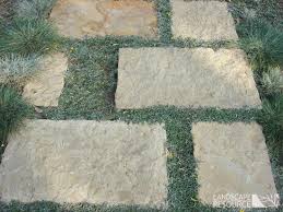 Silver Carpet Drought Resistant Landscaping Silver Carpet Covered Garden