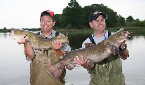 If you are after big channel catfish then there are better options but most people who target channel catfish are not in it for trophies, myself included. Flathead Channel Or Blue Pick Your Catfish