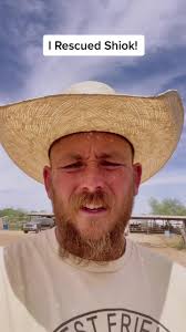 @2raw2ride #fyp #shiok #falcon #horsesoftiktok #camelscreamer #rescue