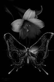 What kind of butterflies are in butterfly clipart? Beautiful Butterfly Gifs