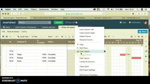 Gantt Chart Creation Using Smartsheet Com