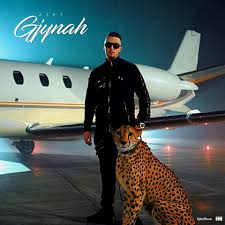 März 1993 in albanien, ist ein rapper der kmn gang aus frankfurt (früher dresden), welche er zusammen 41 followers. Azet From Germany Popnable