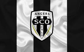 Flagga från frankrike, frankrike flagga, frankrike, knapp, cirkel png. Frankrike Ligue 1