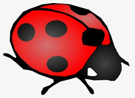 Free Ladybug Clip Art With No Background Page 2 Clipartkey Png | miraculous ladybug & chatnoir запись закреплена. free ladybug clip art with no