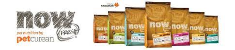 Now Fresh Dog Food Review 2021 The Freshest Option Today