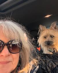 Measuring leg hair and seeking life change with pets