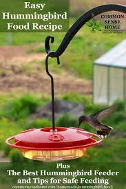 Also if you have trouble with ants you can now get a little item that has ant repellent in it that doesn't harm the birds. Homemade Hummingbird Food Recipe And The Best Feeder