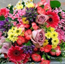 Amantes De Las Flores y Plantas - Home | Facebook