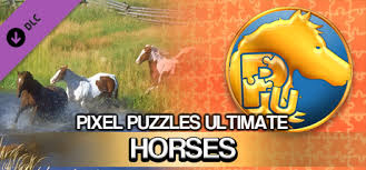 They feature fun puzzles of all types that'll keep you entertained. Jigsaw Puzzle Pack Pixel Puzzles Ultimate Horses On Steam