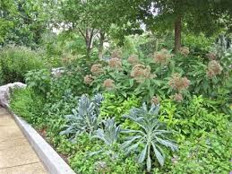 The Butterfly Garden Butterfly Garden Cool Plants Perennial Garden