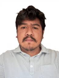 Ávila de la Rosa Enrique