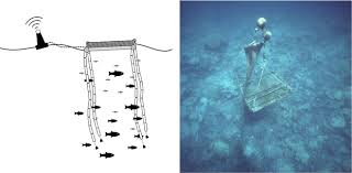 Schematic of a typical drifting fish aggregation device (dFAD) and an...