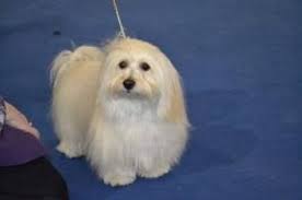 Blevwil Cast A Glimpse At Berrywood