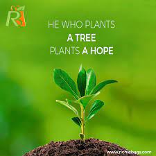 Planting A Tree Is Equivalent To Sowing A New Hope For A Greener Future Wish You A Wonderful Week Ahead Motivational A New Hope Trees To Plant New Hope