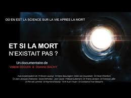 Inconsolable depuis la perte de mon amour de chien résolu. Les Morts Nous Parlent Apprenons A Les Entendre