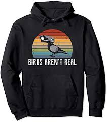 Birds Aren T Real Hoodie Beautiful Vintage Birds Aren T Real Pullover Hoodie Clothing 31 99 Newofferclothing From Top Store Hoodies Pullover Hoodie Hoodie Pajamas