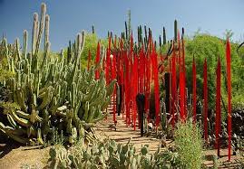 Desert Botanical Garden Phoenix Trip Arizona Travel Visit Arizona