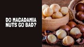 What do bad macadamia nuts taste like?