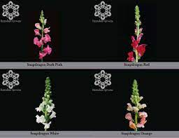Fresh cut flowers all year! Herradura Growers 5858 Dryden Pl Carlsbad Ca Florists Mapquest