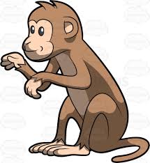 Image result for monkey picture cartoon