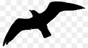 Vector sky bird seagull in a wildlife. Free Png Flying Bird Clipart Clip Art Download Pinclipart