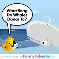 Plus the best jokes from the beano joke generator. Whale Of A Joke Funny Whale Joke