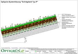 Schragdach Dachbegrunung Von Optigrun Der Spezialist Fur Grundach Dachbegrunung Fassadenbegrunung Und Pflanzengefasse Schragdach Dach Dachbegrunung