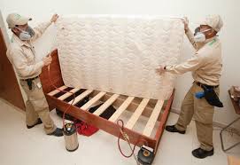 Eco friendly pest control is one of the leading pest control service provider company in pune. Bed Bug Pest Control Services Bed Bugs Pest Control Debug 360 Pune Id 9864509130