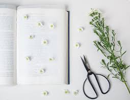 Size is 9,4x9,4 (24x24 cm) i used a huge variety of pressed flowers. Diy Pressed Flower Wall Art Design Sponge