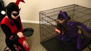 Batgirl Impregnation & Birth - Harley Quinn - Video porno | TXXX.com