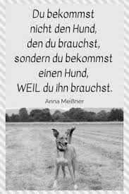 Von | nov 27, 2020 | allgemein | 0 kommentare | nov 27, 2020 | allgemein | 0 kommentare 10 Zitate Uber Hunde Ideen Hunde Hund Zitat Zitate