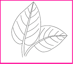 Coloring is a magnificent activity for little ones. Leaf Coloring Pages Printable Activity Shelter