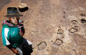 We did not find results for: Where Dinosaurs Walked Eight Of The Best Places To See Prehistoric Footprints Travel Smithsonian Magazine